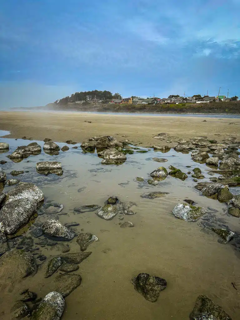 Turtle Island Tattoo