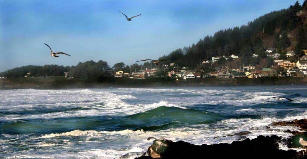 Wildport Aquatic Rentals