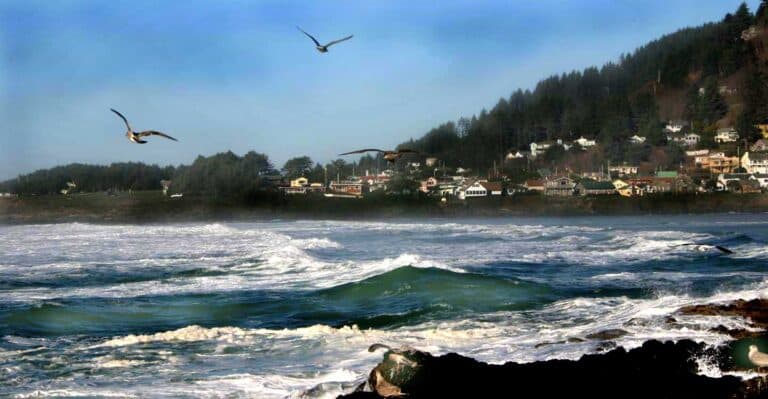 Wildport Aquatic Rentals