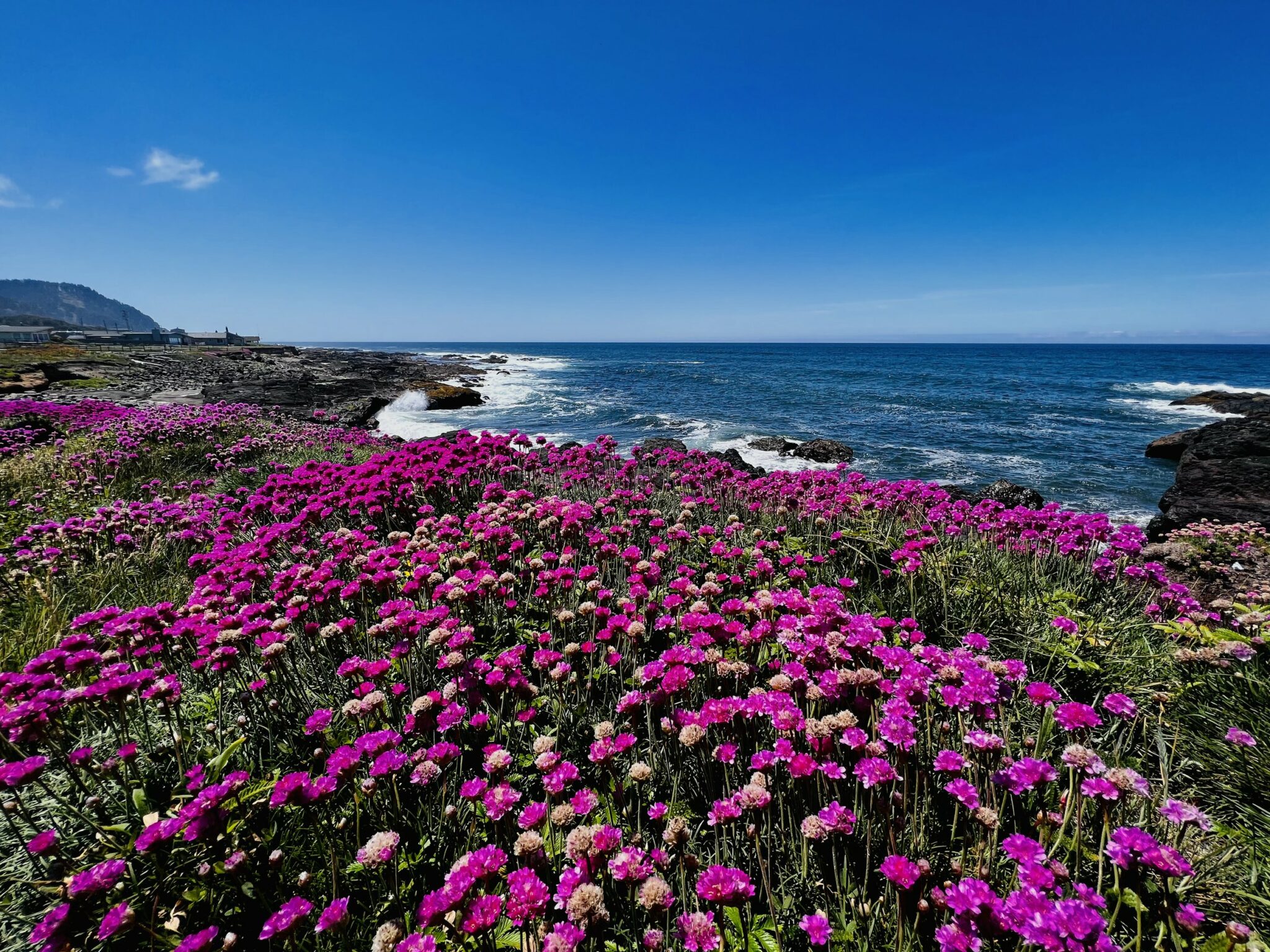Family Adventure Yachats Gem of the Oregon Coast