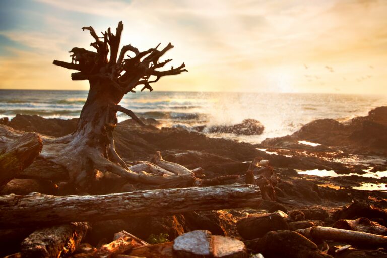 Yachats Recreation Area