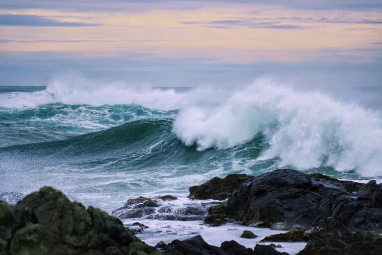 King Tides by Jamie Kish