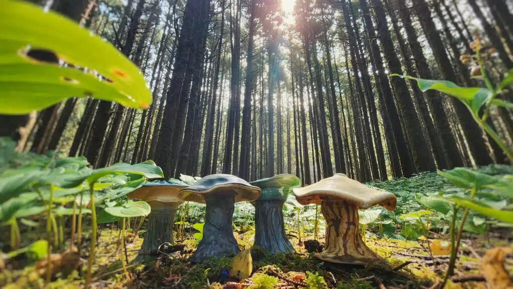 Yachats Mushroom Treasure Hunt - Photo by Girl in Water